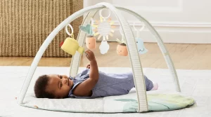 9 Best Baby Play Gyms in Australia 2023: Activity Gym plus Lay & Play Mat