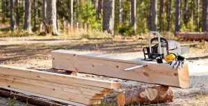 6 Best Chainsaw Mills in Australia 2023: Ability to Handle the Hardest Woods