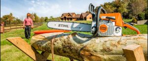 8 Best Chainsaw for Cutting Firewood in Australia 2023: Large to Small Trees