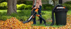 9 Best Leaf Blowers in Australia 2023: Breeze Through Your Yard Work