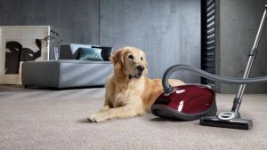 6 Best Vacuum Cleaners for Pet Hair in Australia 2023: Why is a Vacuum the Best Solution?
