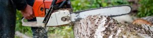 5 Best Electric Chainsaws in Australia 2023: The Future of Tree Tackling
