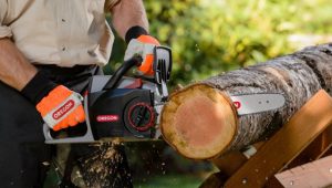 5 Best Pole Saws in Australia 2023: A Complete Buyer’s Guide