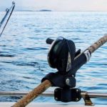 best-fishing-rods
